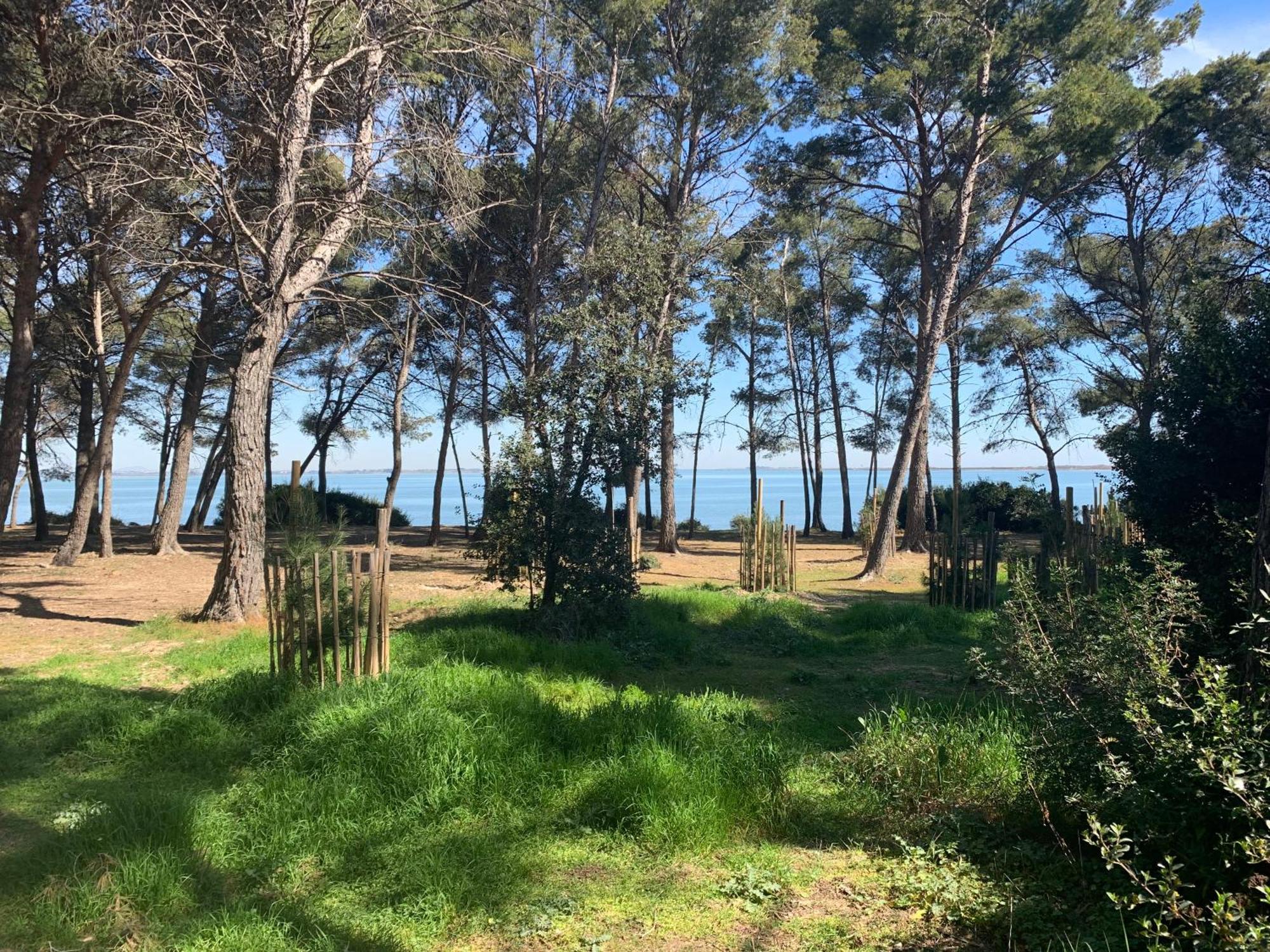 Maison De Plage Frontignan Εξωτερικό φωτογραφία